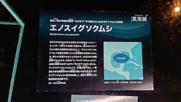 新江ノ島水族館に投稿された画像（2025/3/3）
