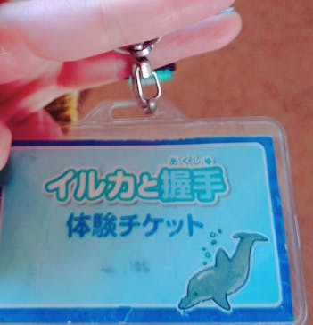 新江ノ島水族館に投稿された画像（2025/3/3）