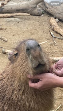 霞ケ浦 どうぶつとみんなのいえに投稿された画像（2025/3/3）