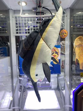 東京ジョイポリスに投稿された画像（2025/3/3）