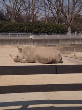 東武動物公園に投稿された画像（2025/3/3）