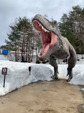 福井県立恐竜博物館に投稿された画像（2025/3/3）
