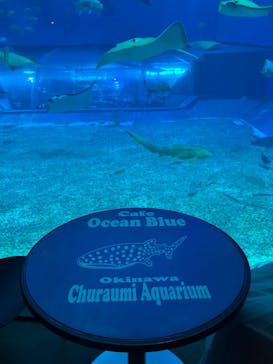 沖縄美ら海水族館に投稿された画像（2025/3/3）