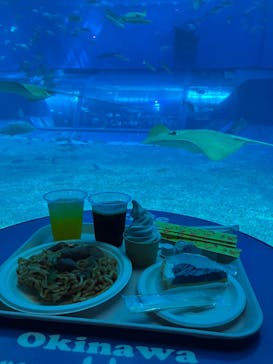 沖縄美ら海水族館に投稿された画像（2025/3/3）