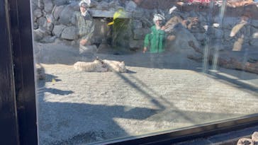 東武動物公園に投稿された画像（2025/3/3）