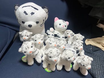 東武動物公園に投稿された画像（2025/3/3）