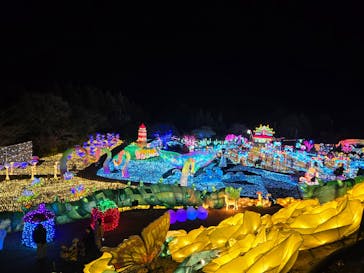 伊豆高原グランイルミに投稿された画像（2025/3/3）