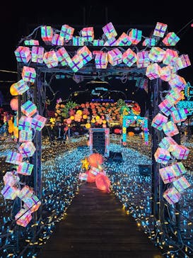 伊豆高原グランイルミに投稿された画像（2025/3/3）