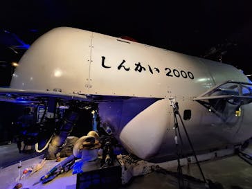 新江ノ島水族館に投稿された画像（2025/3/3）