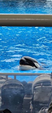 名古屋港水族館に投稿された画像（2025/3/3）