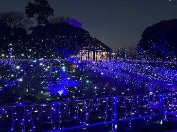 江の島シーキャンドルに投稿された画像（2025/3/4）