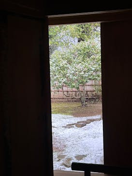 偕楽園本園に投稿された画像（2025/3/4）