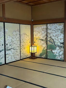 偕楽園本園に投稿された画像（2025/3/4）