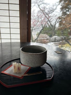 偕楽園本園に投稿された画像（2025/3/4）