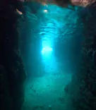 武藤潜水に投稿された画像（2025/3/4）