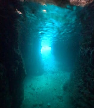 武藤潜水に投稿された画像（2025/3/4）