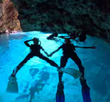 武藤潜水に投稿された画像（2025/3/4）