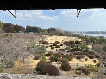 偕楽園本園に投稿された画像（2025/3/4）