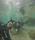 武藤潜水に投稿された画像（2025/3/4）