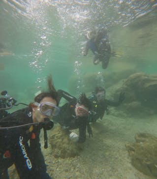 武藤潜水に投稿された画像（2025/3/4）