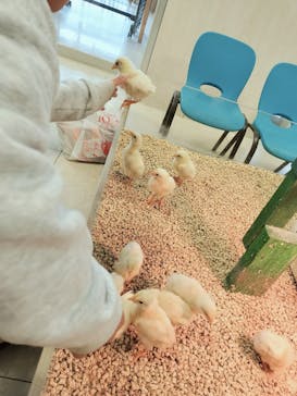 Moff animal world BIGHOPガーデンモール印西店に投稿された画像（2025/3/4）