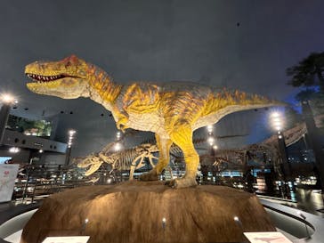 福井県立恐竜博物館に投稿された画像（2025/3/4）