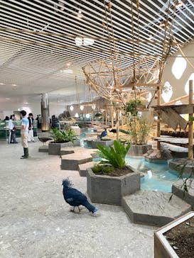 NIFREL（ニフレル）に投稿された画像（2025/3/4）