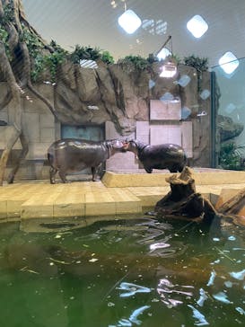 NIFREL（ニフレル）に投稿された画像（2025/3/4）