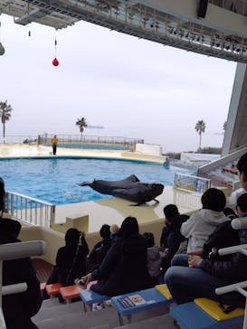 マリンワールド海の中道に投稿された画像（2025/3/4）