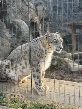 多摩動物公園に投稿された画像（2025/3/4）