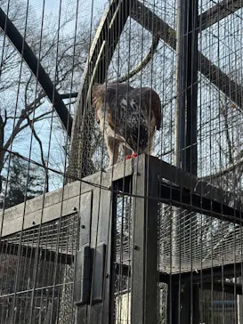 多摩動物公園に投稿された画像（2025/3/4）