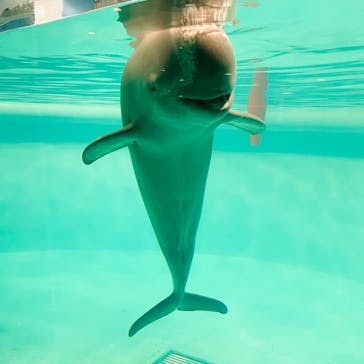 マリンワールド海の中道に投稿された画像（2025/3/4）