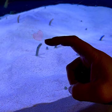 マリンワールド海の中道に投稿された画像（2025/3/4）