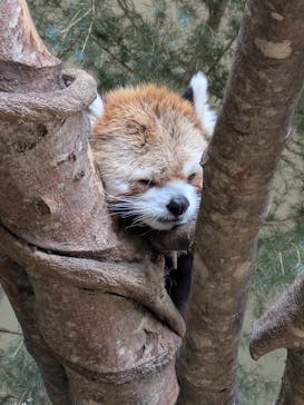 那須どうぶつ王国に投稿された画像（2025/3/4）