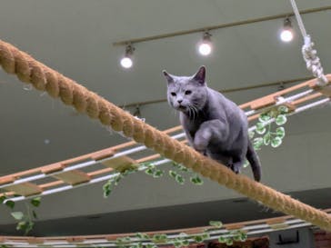 那須どうぶつ王国に投稿された画像（2025/3/4）