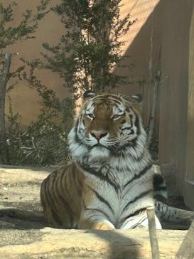 那須どうぶつ王国に投稿された画像（2025/3/4）