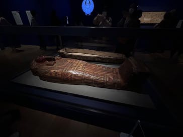 ブルックリン博物館所蔵 特別展 古代エジプトに投稿された画像（2025/3/4）