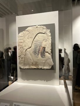 ブルックリン博物館所蔵 特別展 古代エジプトに投稿された画像（2025/3/4）
