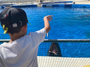 沖縄美ら海水族館に投稿された画像（2025/3/4）