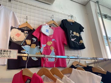 沖縄美ら海水族館に投稿された画像（2025/3/4）