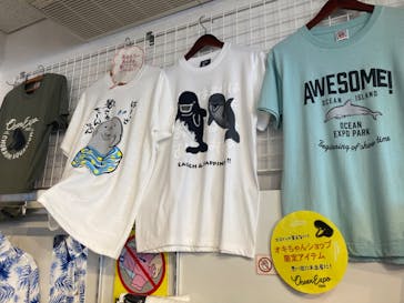 沖縄美ら海水族館に投稿された画像（2025/3/4）