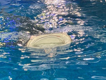 沖縄美ら海水族館（館内体験）に投稿された画像（2025/3/4）