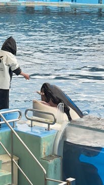 名古屋港水族館に投稿された画像（2025/3/4）