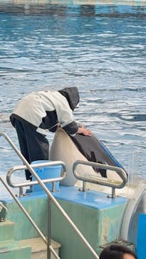 名古屋港水族館に投稿された画像（2025/3/4）