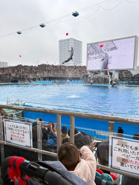 名古屋港水族館に投稿された画像（2025/3/4）