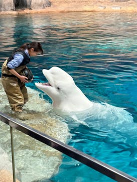 名古屋港水族館に投稿された画像（2025/3/4）