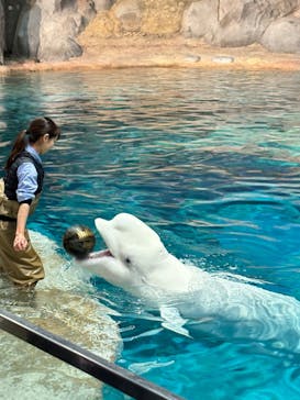 名古屋港水族館に投稿された画像（2025/3/4）