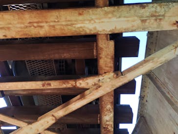 小江戸さわら 舟めぐりに投稿された画像（2025/3/5）