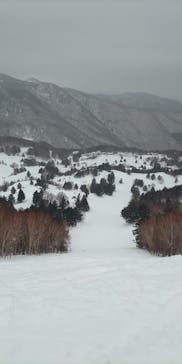 YAMABOKUワイルドスノーパークに投稿された画像（2025/3/5）