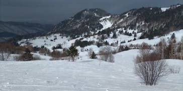 YAMABOKUワイルドスノーパークに投稿された画像（2025/3/5）